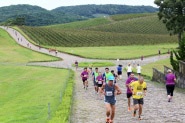 Os percursos da Meia Maratona passar�o por belos cen�rios